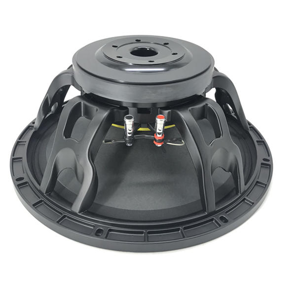 15'' 190mm Magnet 75mm Voice Coil Pro Speaker WOOFER Model H15751