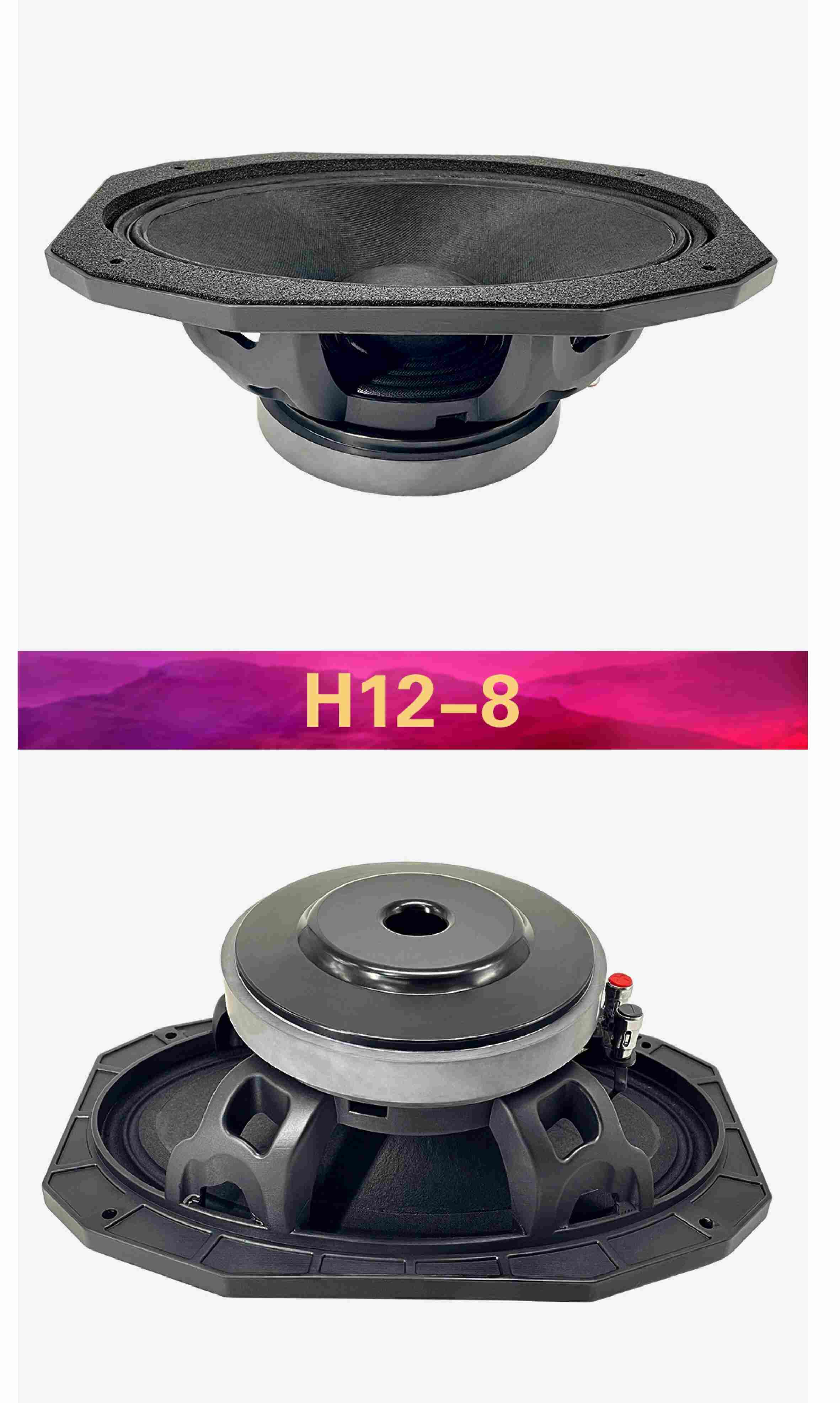 12*8'' 170mm Magnet 65mm Voice Coil Pro Speaker WOOFER Model H12-8