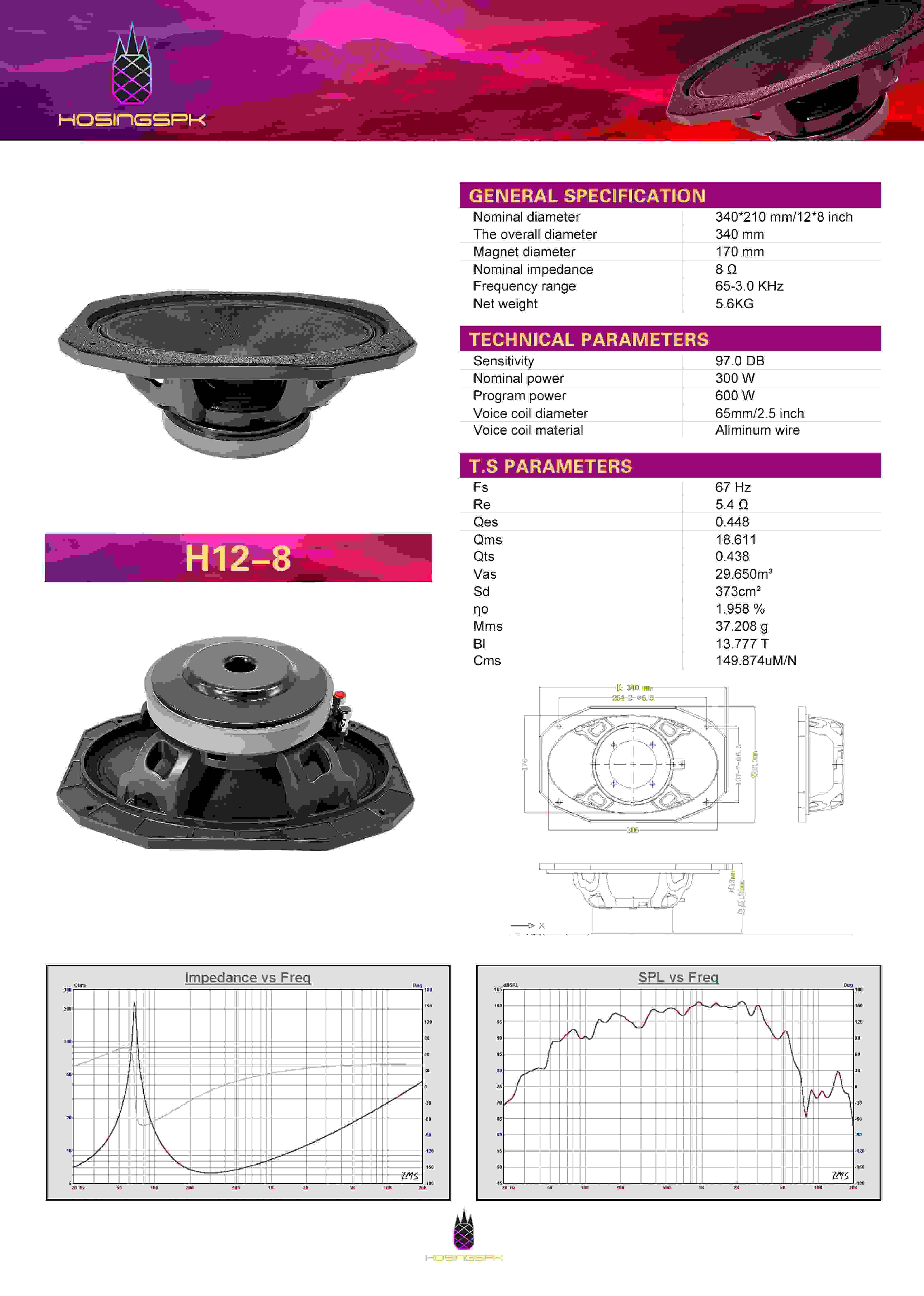 12*8'' 170mm Magnet 65mm Voice Coil Pro Speaker WOOFER Model H12-8